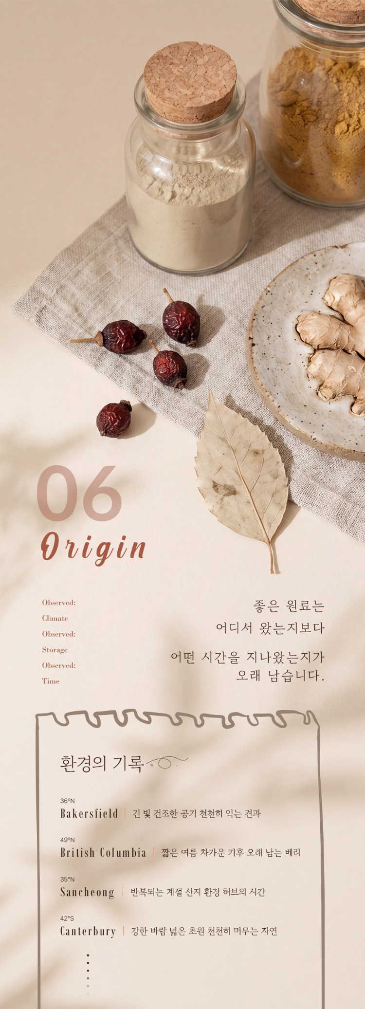 Origin 섹션
